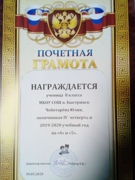 Почётная грамота ученицы 8 класса Чеботарёвой Юлии